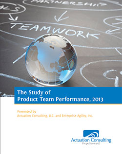 white paper: 2013 Study of Product Team Performance